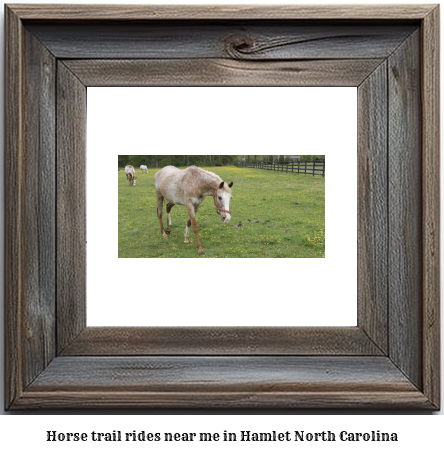 horse trail rides near me in Hamlet, North Carolina